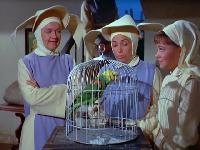 Click to watch 'Polly Wants a Crack in...' (popup) The Flying Nun